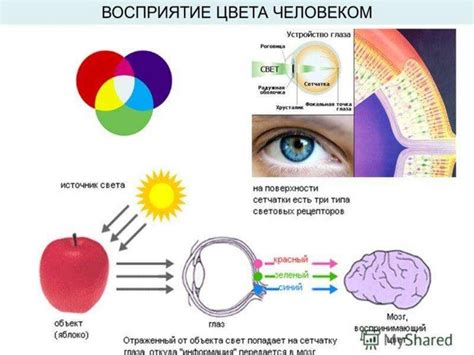 Влияние формы повествования на восприятие информации 