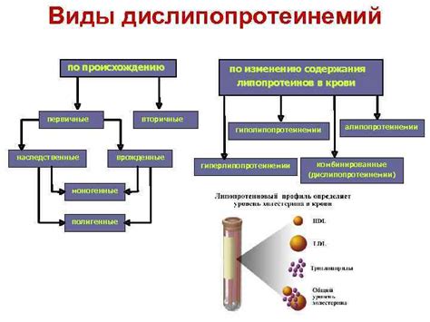  Возможные последствия недостаточного содержания альфа-липопротеинов в организме ребенка 