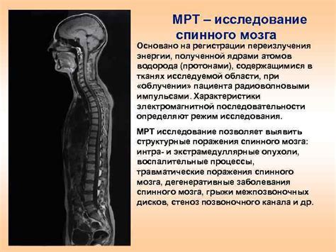 Возможные последствия повреждения тыловых корешков спинного мозга 