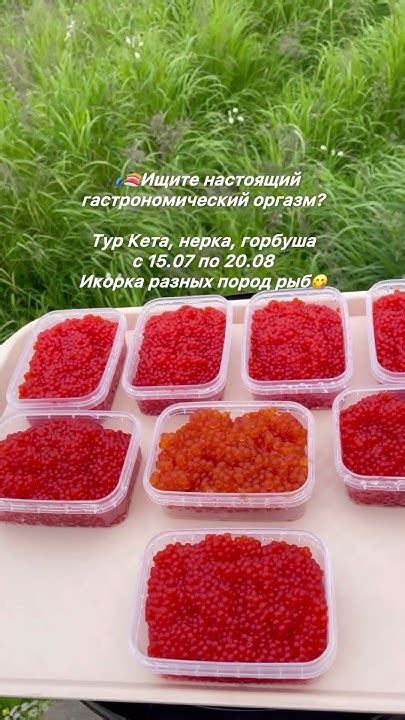  Восковая мола в шашлыке: альтернативный ингредиент для самых искушенных гурманов 