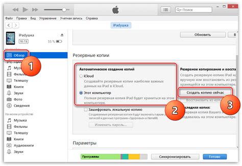  Восстановление устройства через iTunes
