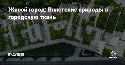  Вплетение природы в дизайн площадки 