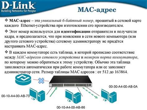  Зачем нужен MAC-адрес и что он представляет собой