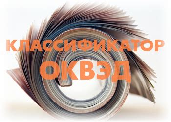  Значение и применение классификационной системы ОКВЭД 