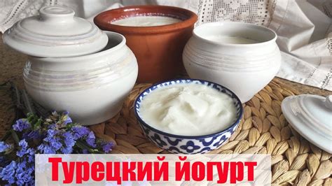  Ингредиенты для самостоятельного приготовления йогурта в домашних условиях 