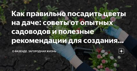  Как ослабить эффекты в растительном мире - полезные советы и рекомендации 