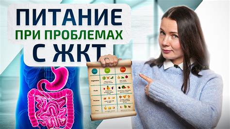  Как поддерживать здоровье пищеварительной системы через правильное питание 