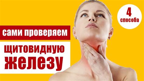  Как самостоятельно проверить щитовидную железу и что обнаружить 