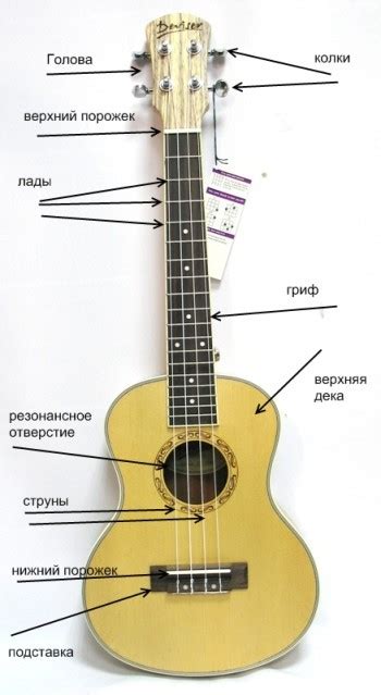  Количество струн на укулеле и сопрано укулеле 