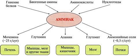  Механизм действия аммиака на различные типы пятен 