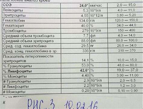  Механизм образования нитритов в моче 