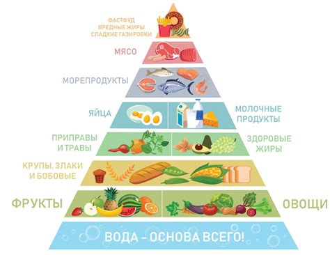  Новинка в мире здорового питания: сокровище Турции для вашего организма
