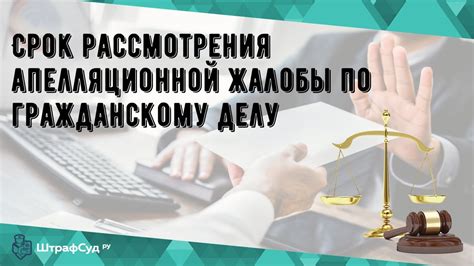  Определение правил проведения аукциона: порядок действий и правила 