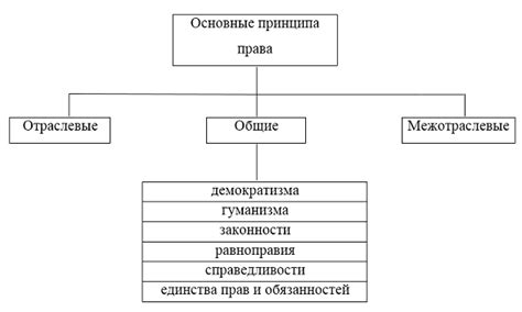  Основные принципы изучения права 