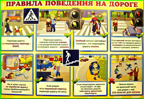  Отрицательные последствия аварий с участием собак на дороге для водителей и владельцев питомцев 