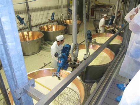  От молока до готового продукта: процесс производства сливочного масла
