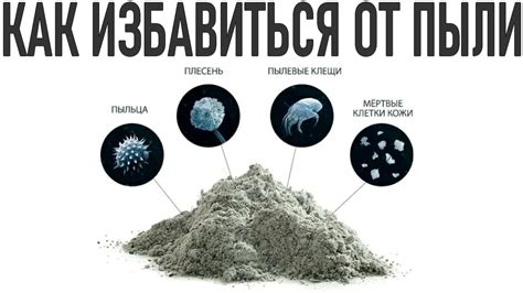 Очищение от загрязнений и пыли: эффективные методы и средства
