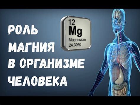  Повышение уровня калия и магния в организме: важность пищевых добавок 