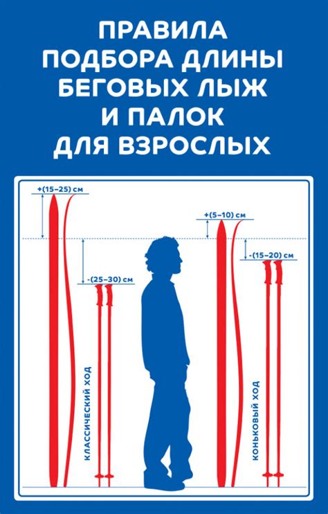  Подбор оптимальной длины трекинговых палок: секреты успеха 