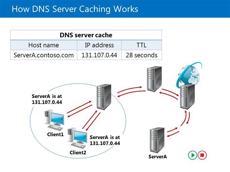  Подготовка и настройка DNS-сервера в операционной системе Debian 