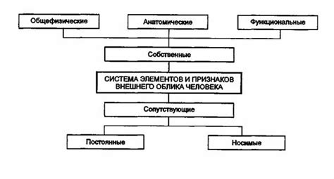  Подготовка к установке внешнего облика: необходимые предварительные этапы 