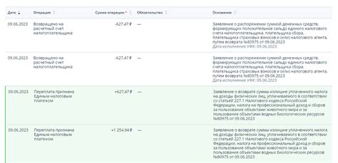  Поиск раздела "Возможности погашения задолженности по индивидуальному предпринимательству"