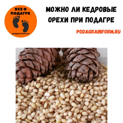  Польза устранения горечи в кедровых орехах 