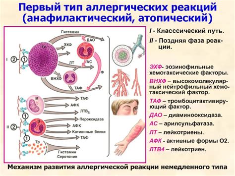  Потенциальные причины аллергических реакций на определенные продукты питания 