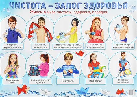  Правила обеспечения гигиены на балконе 