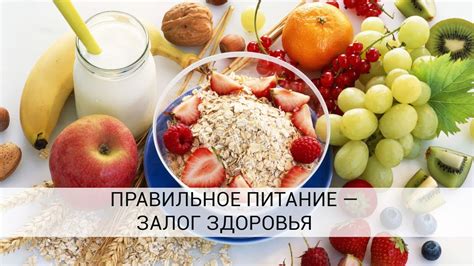  Правильное питание и поддержание здоровья мышц и суставов 