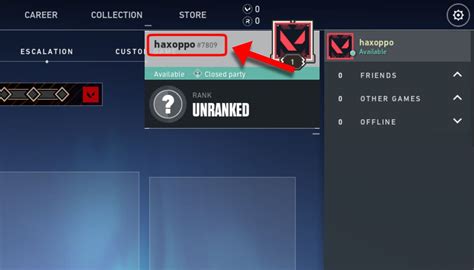  Применение Riot ID для поиска 