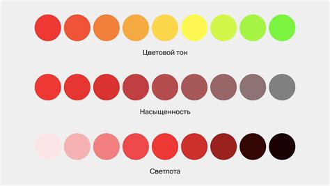  Природная красота: богатство оттенков и насыщенность цвета в обычном песке 