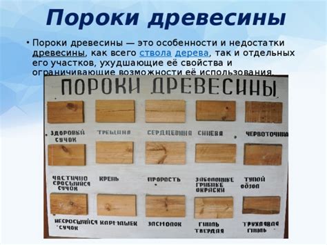  Проверка надежности дерева и возможности его использования
