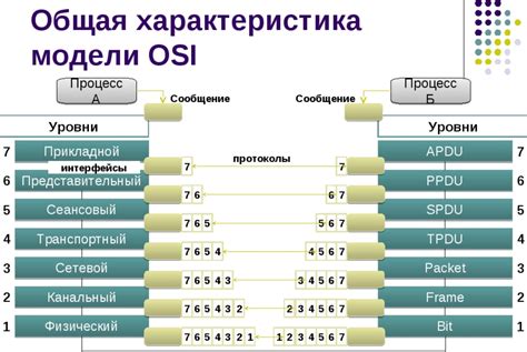  Процесс функционирования службы DNS в компьютерных сетях 