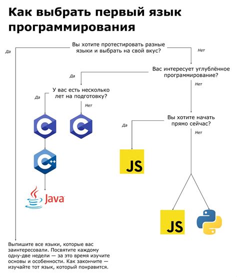  Различные варианты выбора языка и платформы для системы отслеживания IP-адресов 