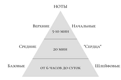  Разнообразие ароматов: понимайте основные типы запахов 