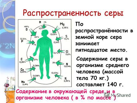  Распространенность энтамебы в организме маленьких детей 