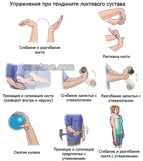  Регулярные упражнения для увеличения напряженности сухожилий 