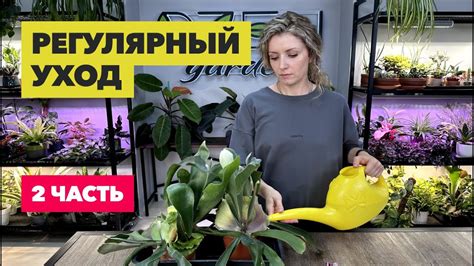  Регулярный уход за обустройством пруда 