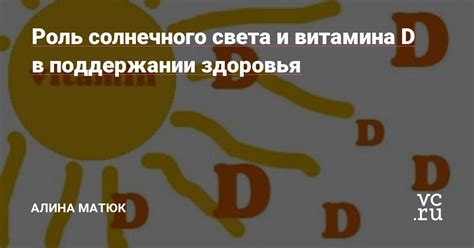  Роль Солнечного Витамина и его Важность для Питания Взрослых Гусей осенней порой 