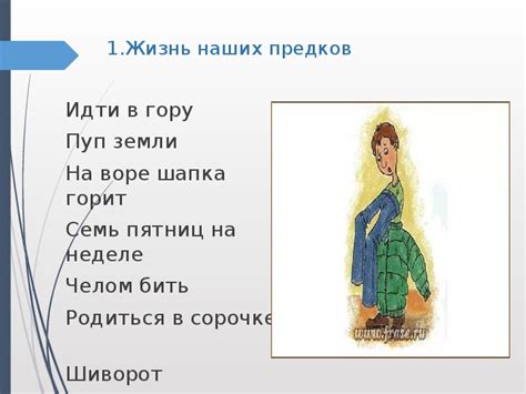  Роль популярной фразы "из огня да в пламя" в современной речи 