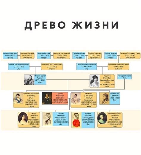  Создание и сохранение семейного древа для будущих поколений 