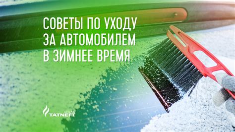  Создание оптимальных условий для сохранения растения в холодное время года
