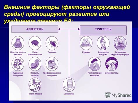  Трудности, возникающие при столкновении с реальностью партнера 