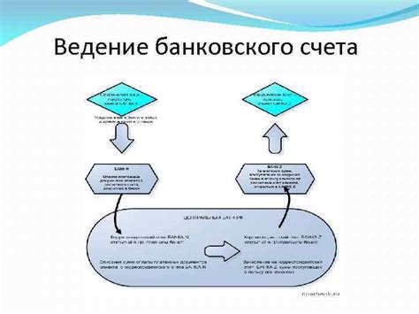  Условия открытия и обслуживания банковских счетов: сравнение и различия
