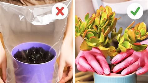  Уход за овощами и фруктами после их приготовления
