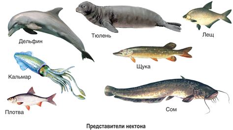  Учитывайте условия рыболовной среды и характеристики водоема 