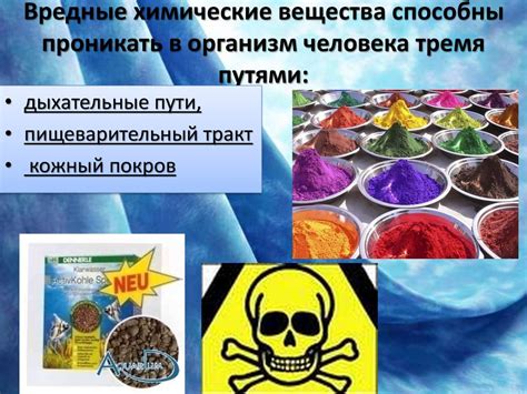  Химические компоненты мела и их воздействие на организм 