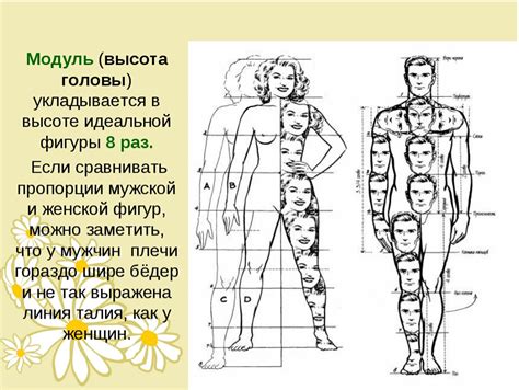  Шаг 4. Формирование тела и конечностей 