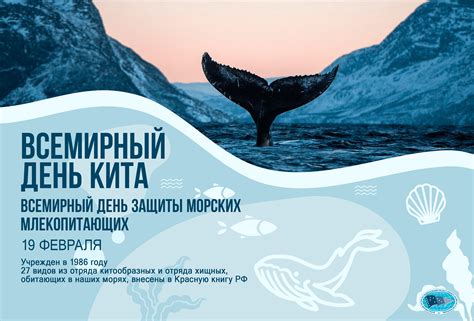  Экологическая значимость дельфинария: вклад в изучение и охрану морских млекопитающих 